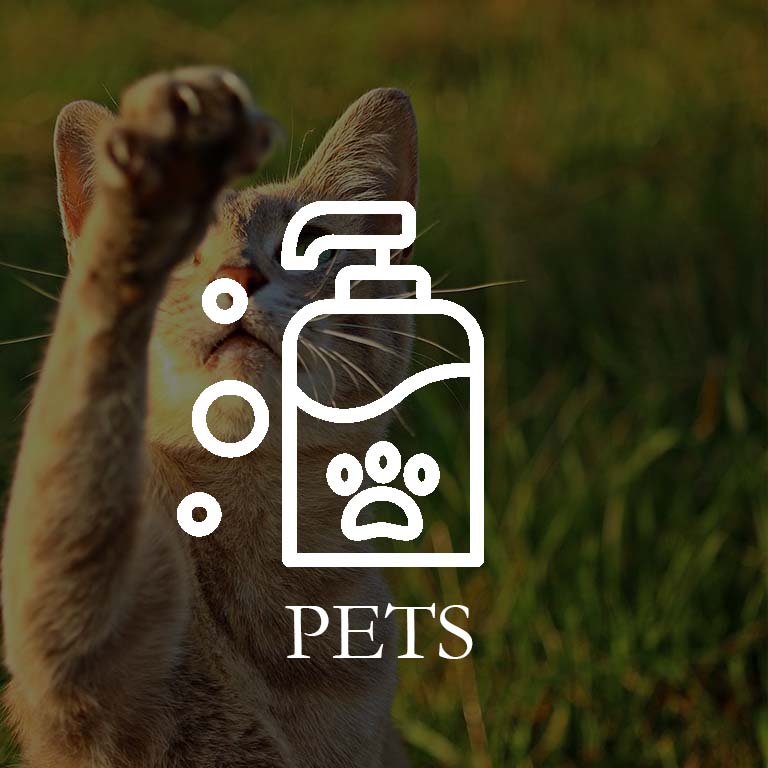 Pdts Pets Icon 1