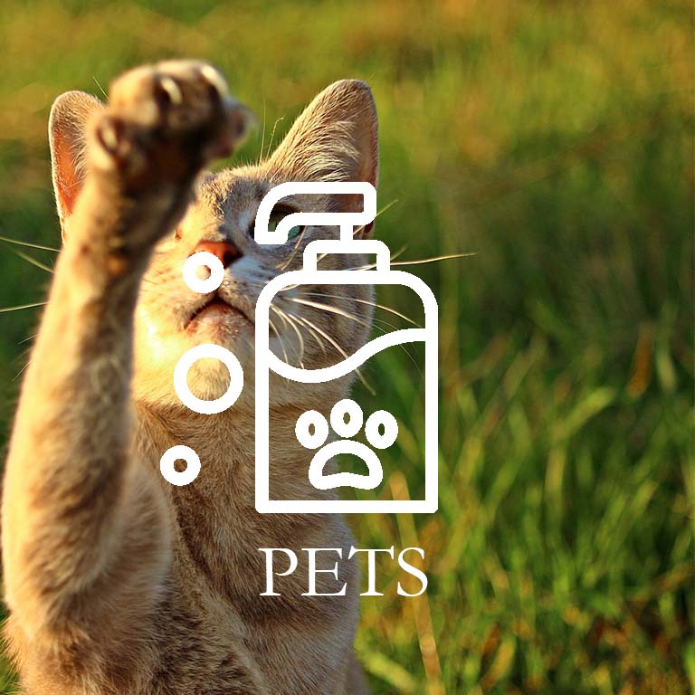 Pdts Pets Icon 2